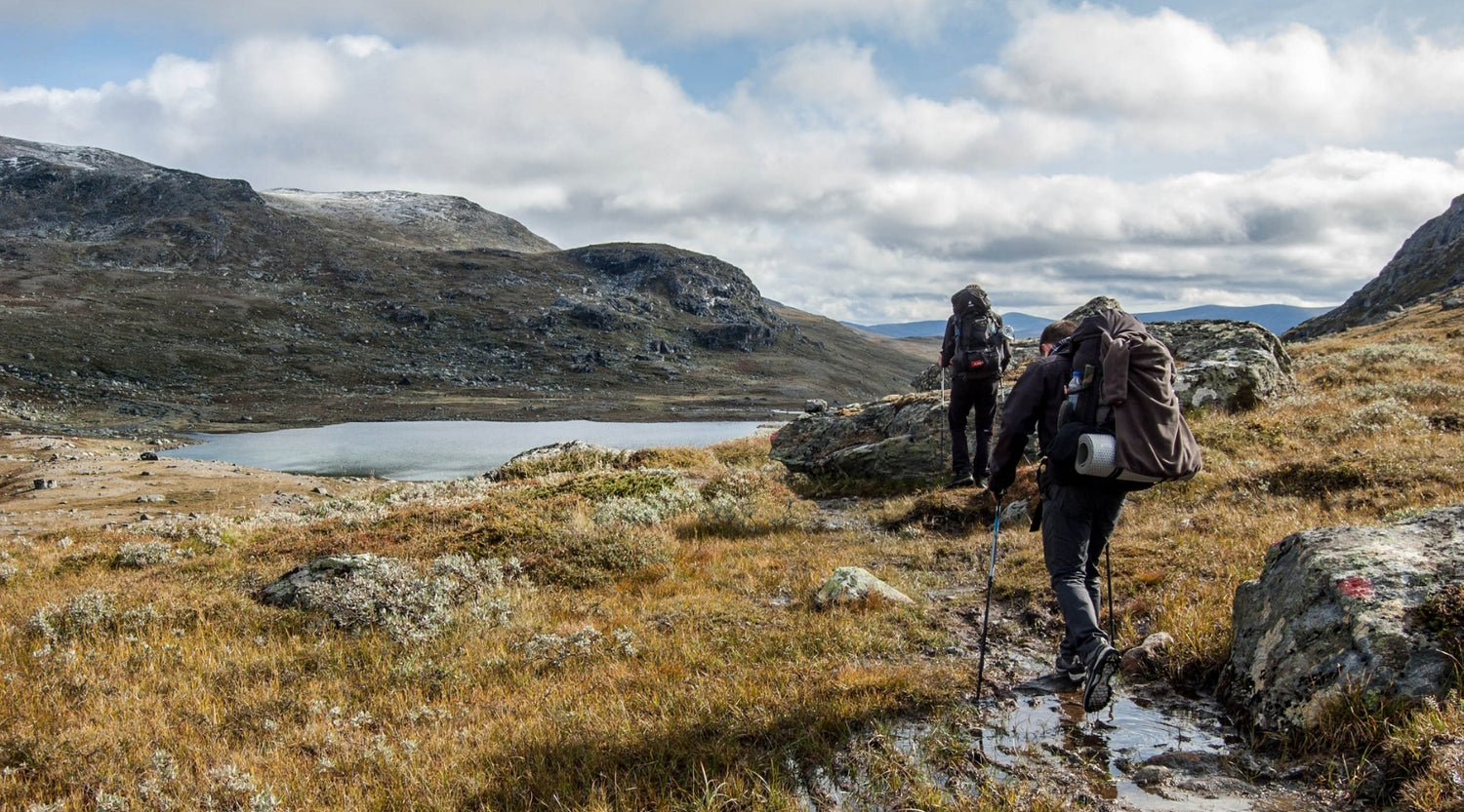 Bâton de marche - Trekking en montagne - Bâton de randonnée - Koksoak Outdoor