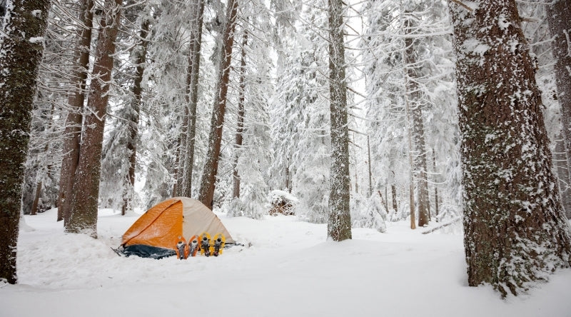 Tente 4 saisons sous la neige dans une forêt de pin et des raquettes