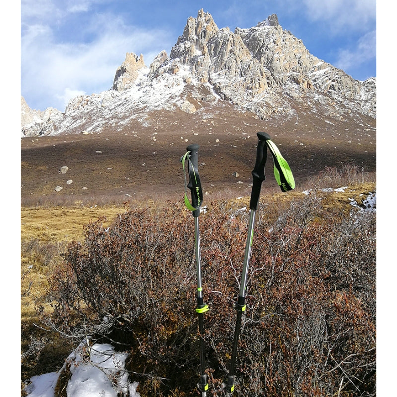 Bâton de marche télescopique en carbone