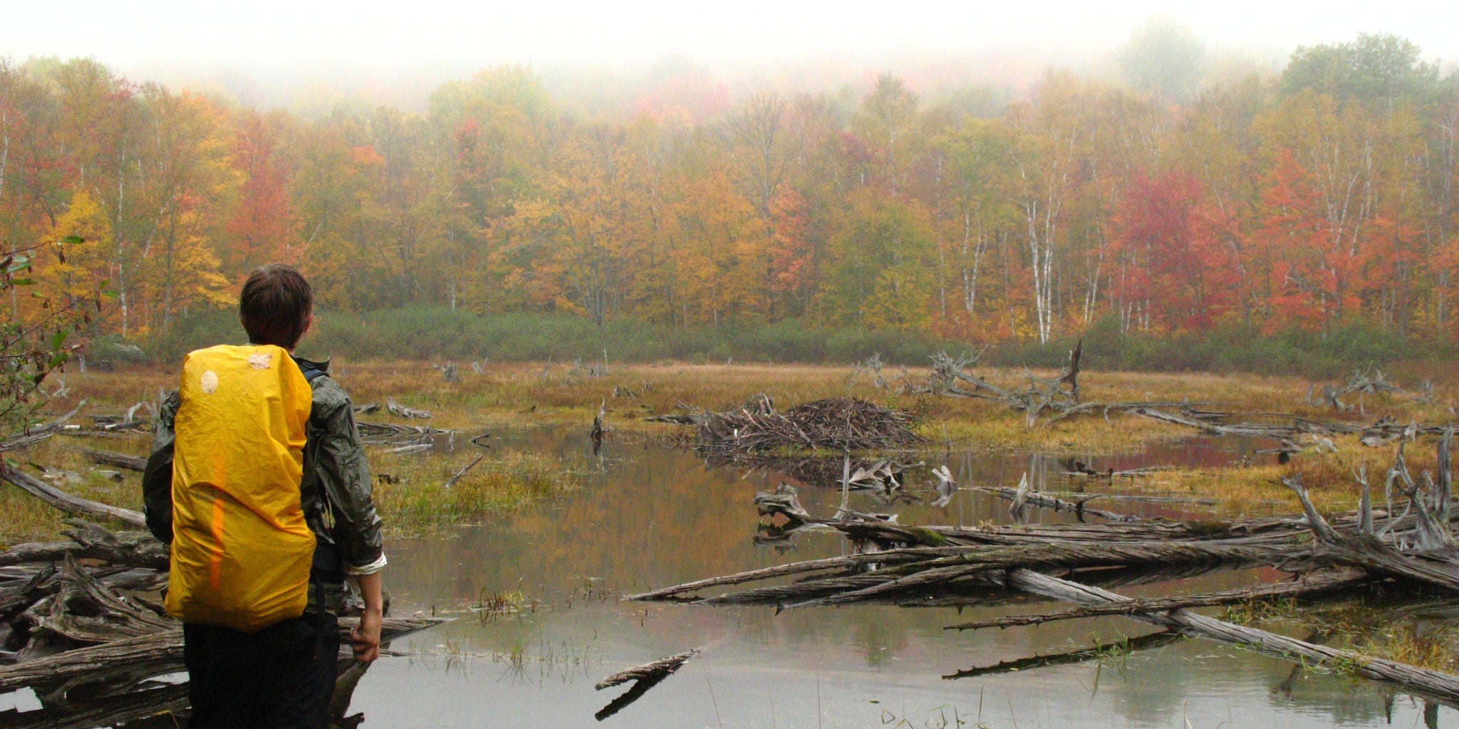 Homme avec sac à dos de randonnée face à un marais en automne - Randonnée en forêt avec sac à dos - Koksoak Outdoor