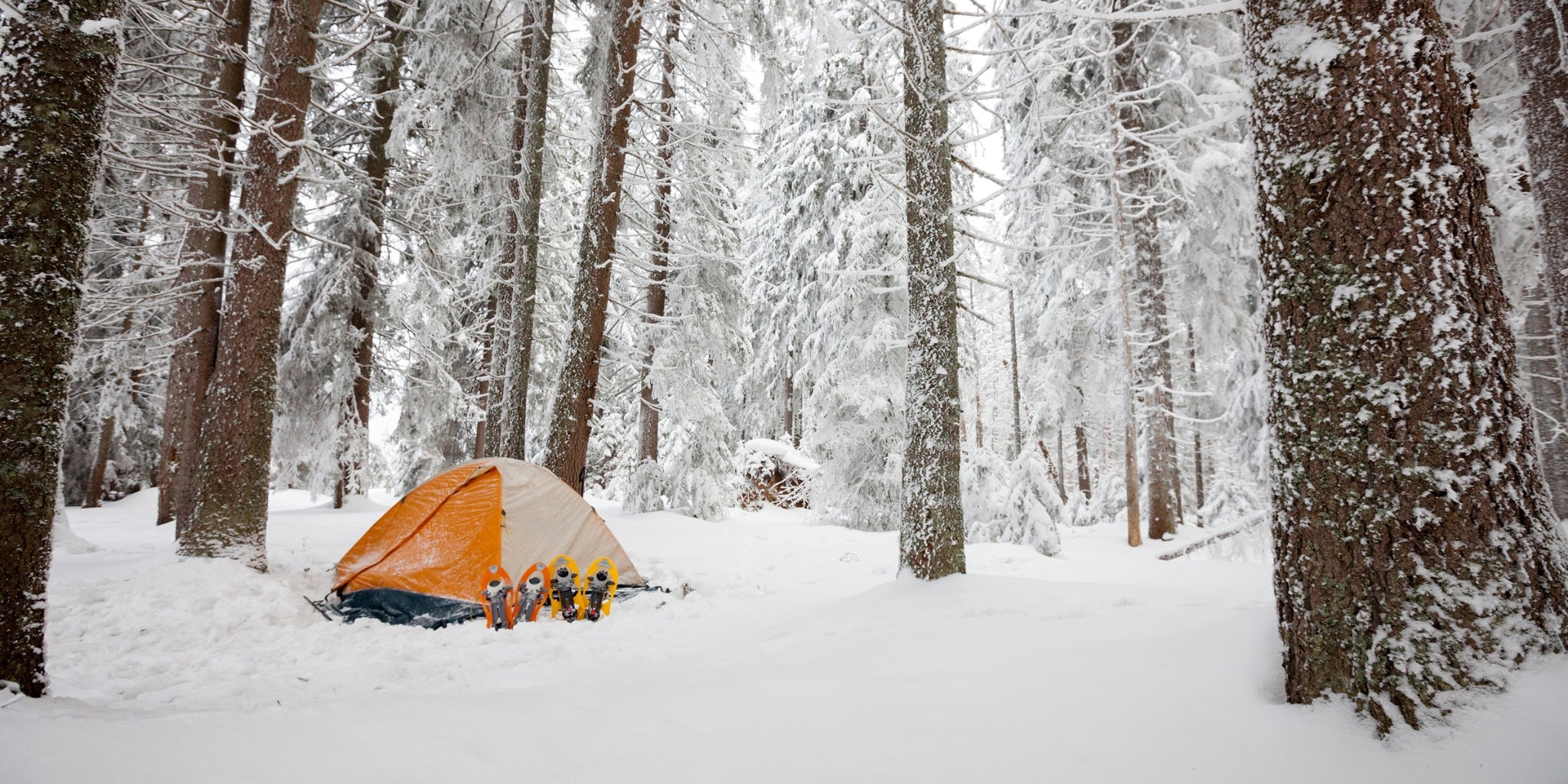 Tente d'hiver dans une forêt de conifère et des raquettes dans la neige - Tente 4 saisons Koksoak Outdoor
